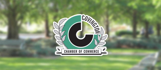 New Chamber of Commerce Web Design Project Start