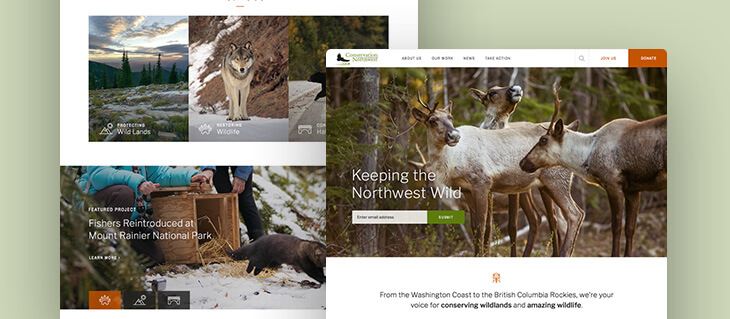 Environmental Services Website Redesign Launched for Bellingham-Based Non-Profit Conservation Northwest