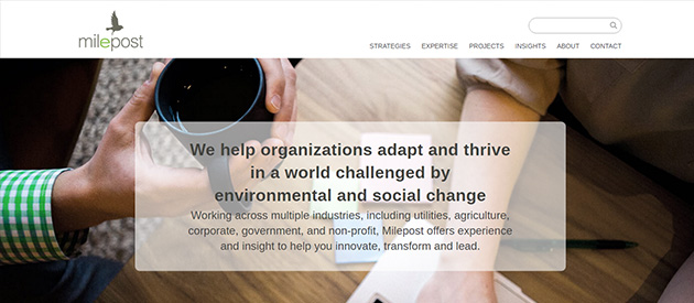 New Professional Service Website for Milepost Consulting!