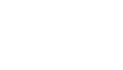 Steeler