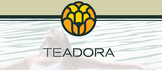 New eCommerce Website Project for organic cosmetics company, Teadora