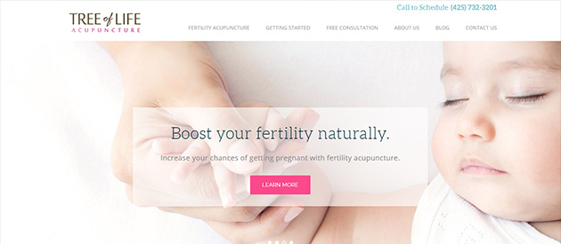 Tree Of Life Acupuncture Fertility's Responsive Website is Live!