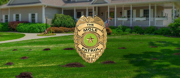 efelle creative Redesigns Mole Patrol's Website