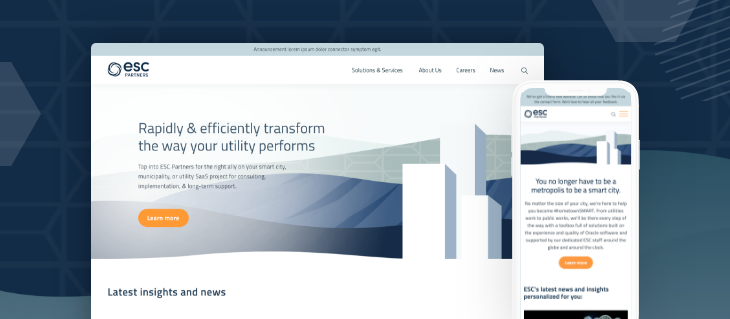 ESC Partners Launches New Professional Services Website