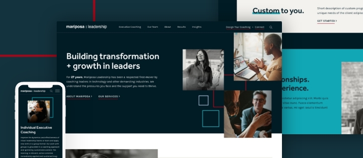 Mariposa Leadership Launches New Professional Service Website