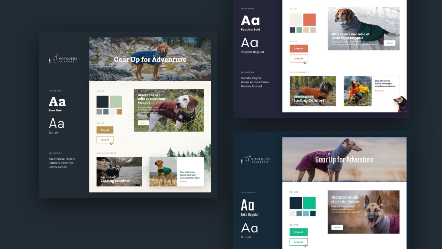 Style tile variations for website design Style tile variations for website design