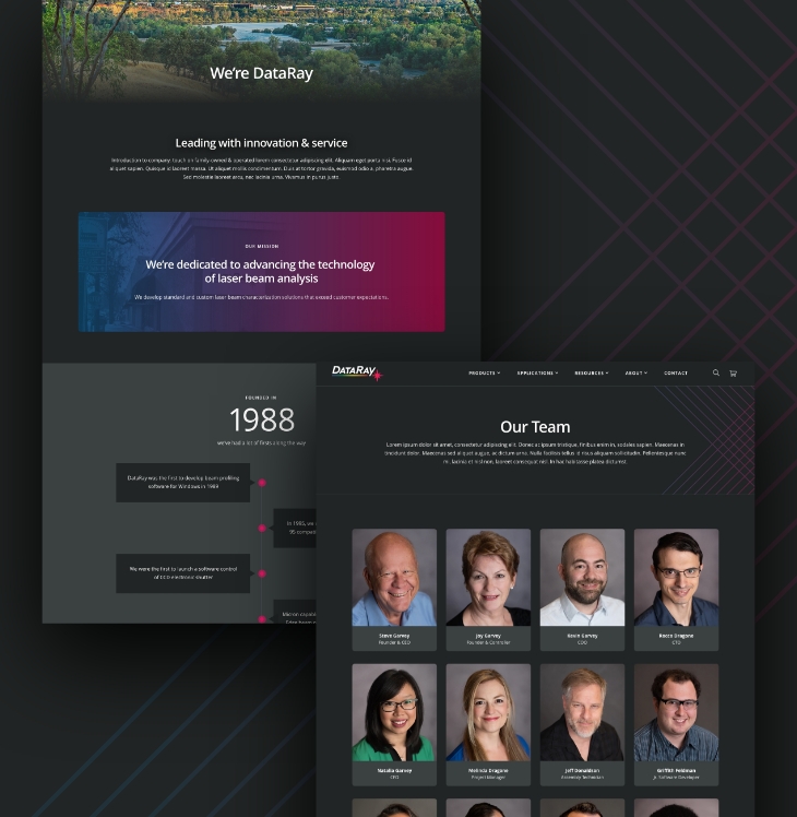 ecommerce_website_redesign_for_dataray_on_bigcommerce_blog-asset-2.jpg