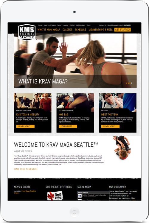 eservice-web-design-seattle-project-launch.png