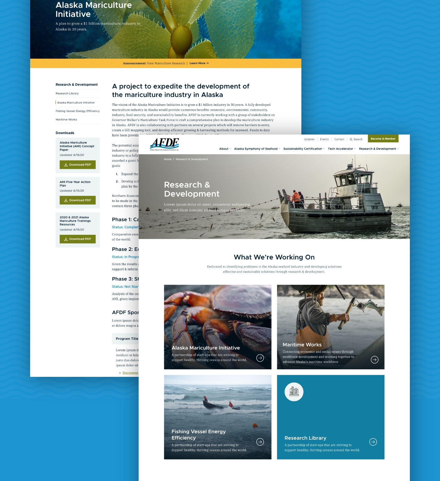 nonprofit-website-redesign-for-afdf-services.jpg