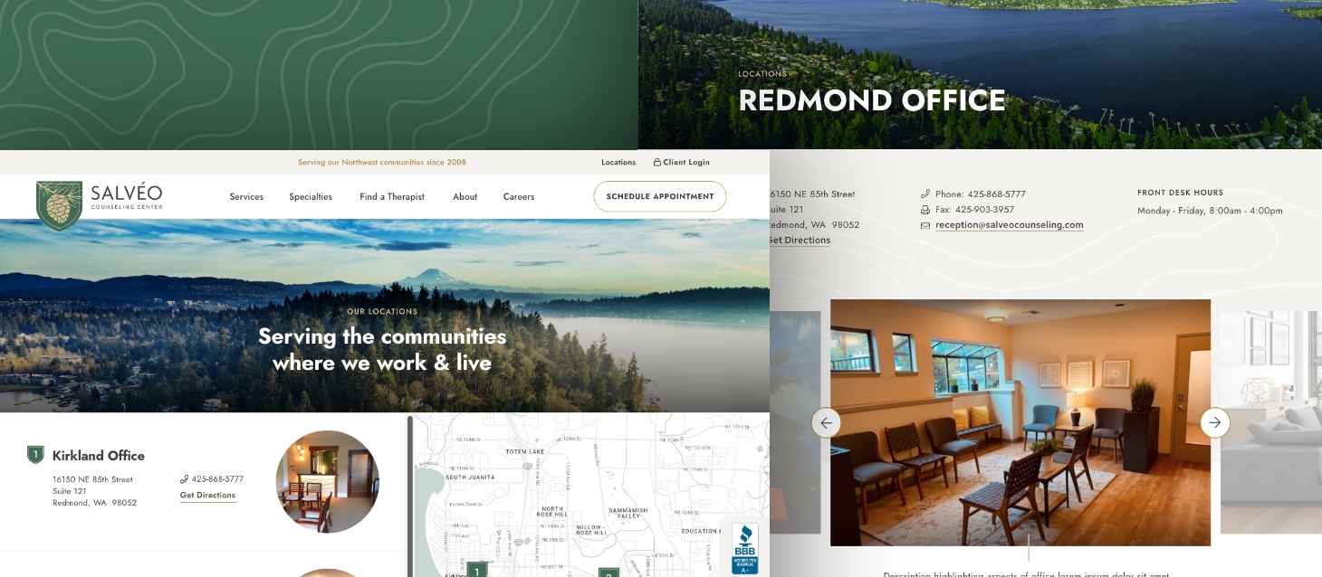 salveo-counseling-professional-services-website-redesign-blog-post-3.jpg