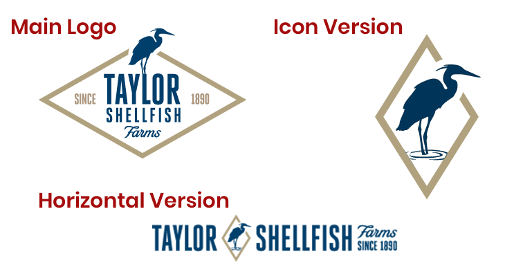 taylor-logo.png