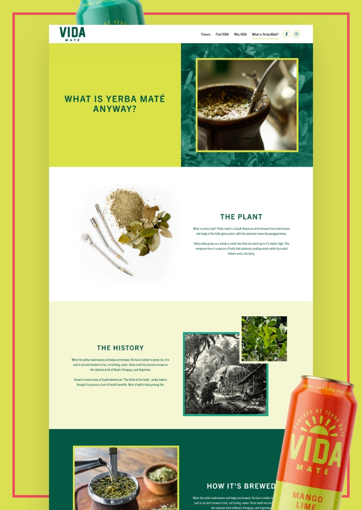 vida-mate-wordpress-website-redesign-blog-asset-2.jpg vida-mate-wordpress-website-redesign-blog-asset-2.jpg