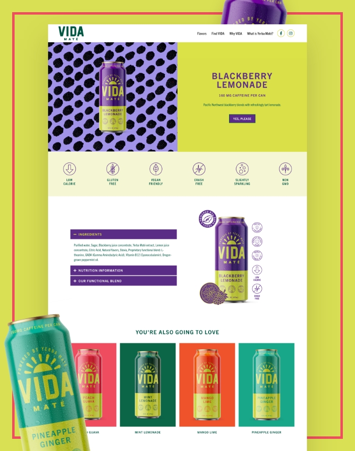 vida-mate-wordpress-website-redesign-blog-asset-3.jpg vida-mate-wordpress-website-redesign-blog-asset-3.jpg